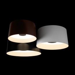 Потолочная люстра Loft it Duo 10360/3