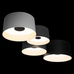 Потолочная люстра Loft it Duo 10360/4