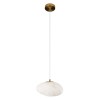Подвесной светильник Loft it Fionora 10531A