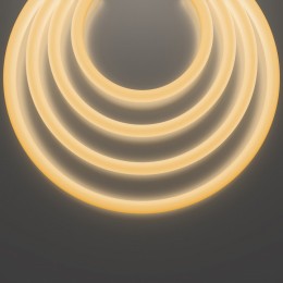 Шнур световой Maytoni Nemo D25 20300