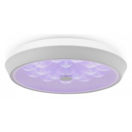 Накладной светильник Freya Cells FR10012CL-L24W