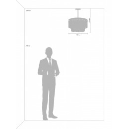 Люстра на штанге Freya Viviane FR11001PL-08CH