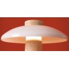 Настольная лампа декоративная Freya Sunspot FR5482TL-L7BG