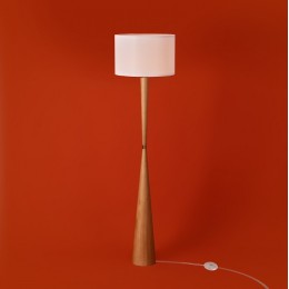 Торшер Freya Swan FR5626FL-01T