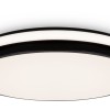 Накладной светильник Freya Pie FR6086CL-L117B