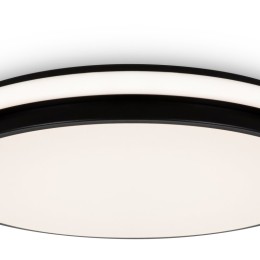 Накладной светильник Freya Pie FR6086CL-L117B