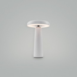 Настольная лампа декоративная Freya Mushroom FR6109TL-L4W