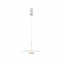 Подвесной светильник Maytoni Platte MOD352PL-L10W3K