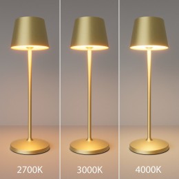 Настольная лампа декоративная Maytoni Nook MOD494RL-L1BSK