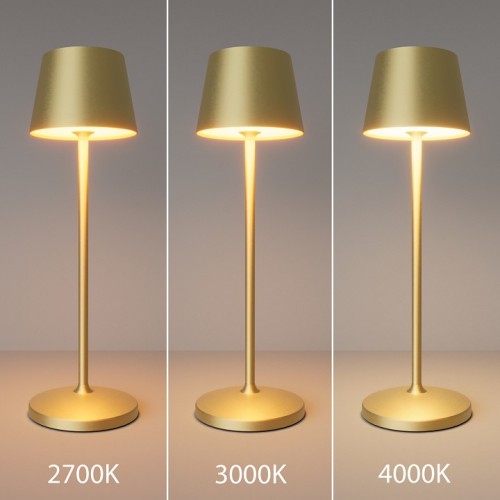 Настольная лампа декоративная Maytoni Nook MOD494RL-L1BSK