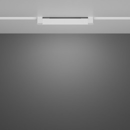 Накладной светильник Maytoni Basis Rot TR104-1-10W4K-W