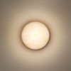 Накладной светильник Odeon Light NATURE 7190/6WLA