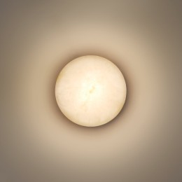 Накладной светильник Odeon Light NATURE 7190/6WLA