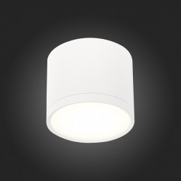 Накладной светильник ST-Luce Rene ST113.542.09