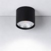 Накладной светильник Wertmark WTA WTA.O02.607.V0.07