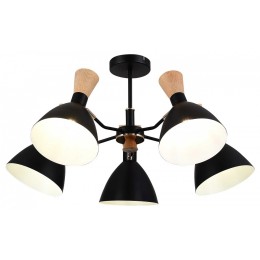 Люстра на штанге EVOLUCE VISTA SLE1256-402-05