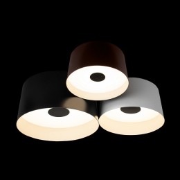 Потолочная люстра Loft it Duo 10360/3