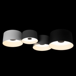 Потолочная люстра Loft it Duo 10360/4