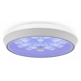 Накладной светильник Freya Cells FR10012CL-L24W