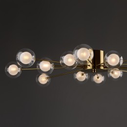 Потолочная люстра Freya Celebrity FR5242CL-16BS1