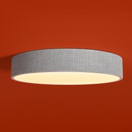 Накладной светильник Freya Ruler FR5555CL-L30BGG