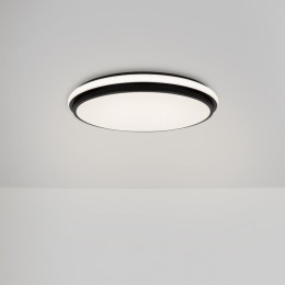 Накладной светильник Freya Pie FR6086CL-L117B