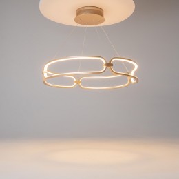 Подвесной светильник Maytoni Chain MOD017PL-L50MG