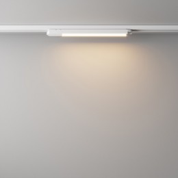 Накладной светильник Maytoni Basis TR000-1-12W3K-W