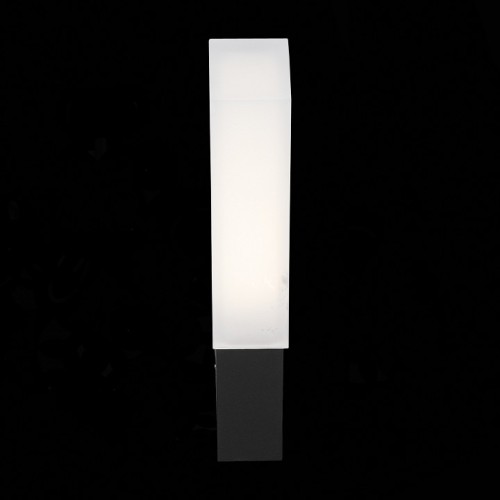 Накладной светильник ST-Luce Posto SL096.411.02