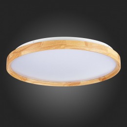 Накладной светильник EVOLUCE DELIA SLE201382-01