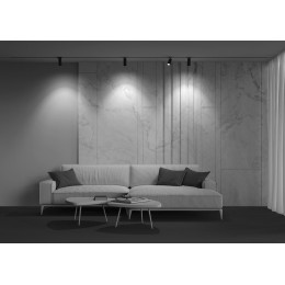 Светильник на штанге Maytoni Focus Zoom TR021-1-124K-Z-B