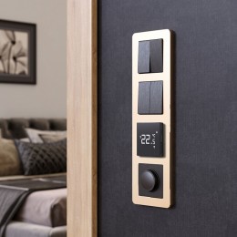 Рамка на 4 поста Werkel Platinum (шампань) W0042611