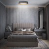 Накладной светильник Loft it Coin 10202 Grey