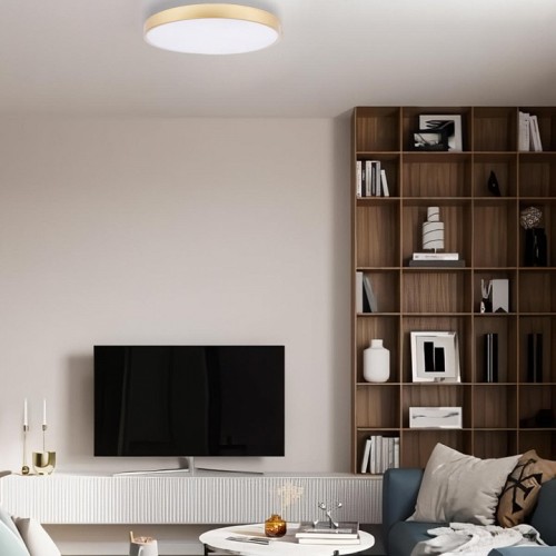 Накладной светильник Loft it Flims 10228/A