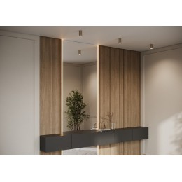 Накладной светильник Maytoni Calipso C106CL-01-GU10-BS