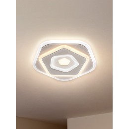 Накладной светильник Freya  FR10019WL-L23W