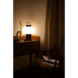 Настольная лампа декоративная Freya Take FR6175TL-L10B