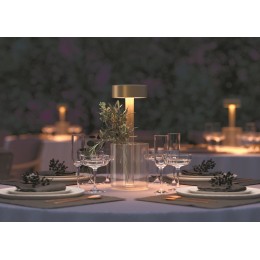 Настольная лампа декоративная Maytoni AI Collaboration MOD229TL-L3G3K1