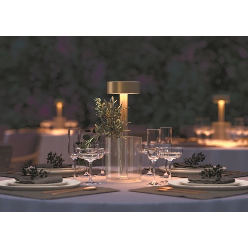 Настольная лампа декоративная Maytoni AI Collaboration MOD229TL-L3G3K1