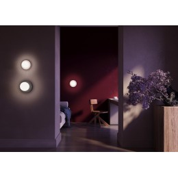 Накладной светильник Maytoni Careless MOD403WL-01GR