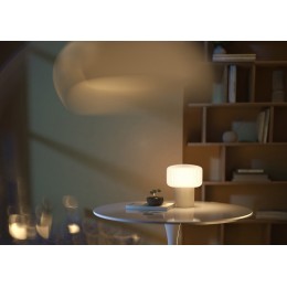 Настольная лампа декоративная Maytoni Omaggio MOD404TL-01BG