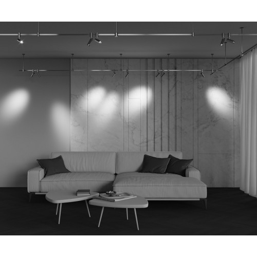 Светильник на штанге Maytoni Focus Led TR144-1-12W4K-W-BS