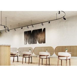 Светильник на штанге Maytoni Focus Led TR201-1-10W3K-M-B