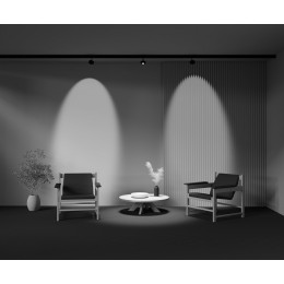 Светильник на штанге Maytoni Lens TR217-4-15WTW-DS-B