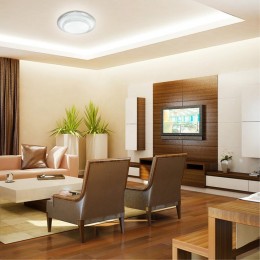 Накладной светильник Sonex PALE 2041/ELN