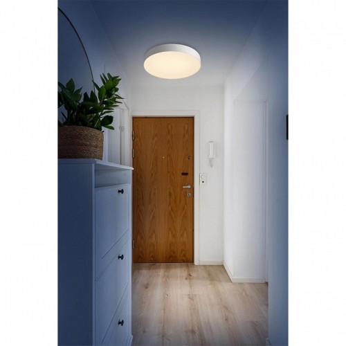 Накладной светильник Sonex BASICA 7779/ELN