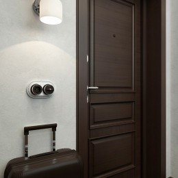 Розетка с заземлением Werkel Vintage (мокко матовый/хром) W5871052