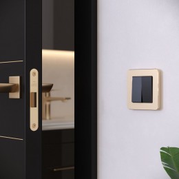 Рамка на 1 пост Werkel Platinum (шампань) W0012611