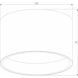 Накладной светильник Elektrostandard Banti a063929