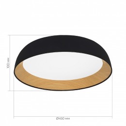 Накладной светильник EVOLUCE MUSE SLE1812-402-01